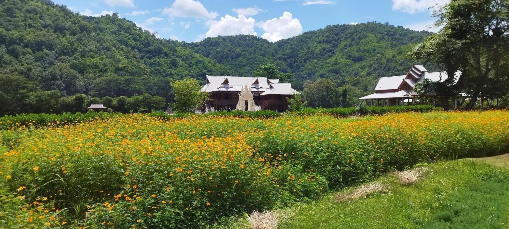 La Villa De Madame Su Chiang Mai Zewnętrze zdjęcie